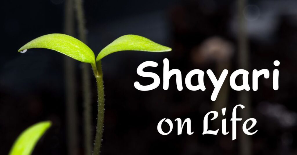 Shayari on life