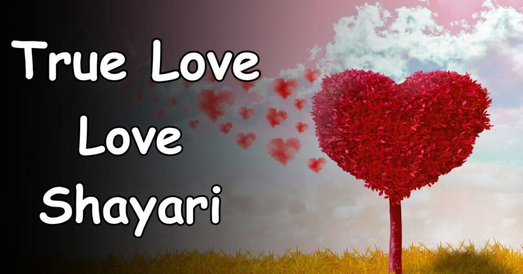 Tru love love shayari